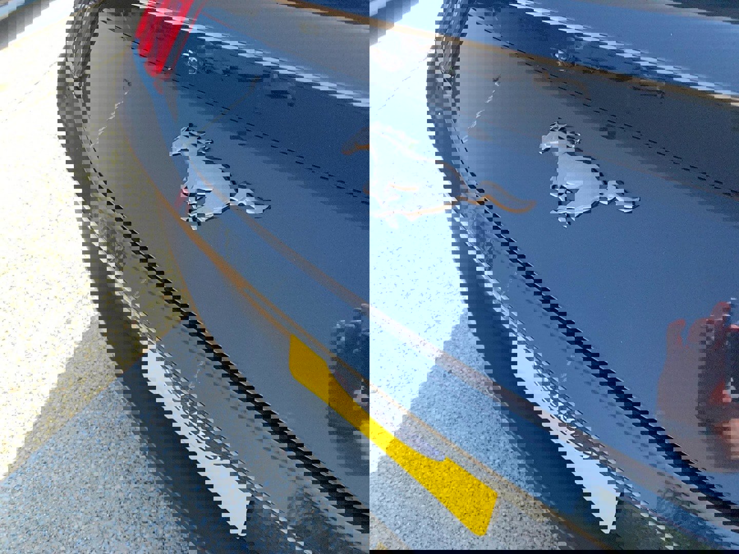 Used 2024 Ford Mustang Premium image 7