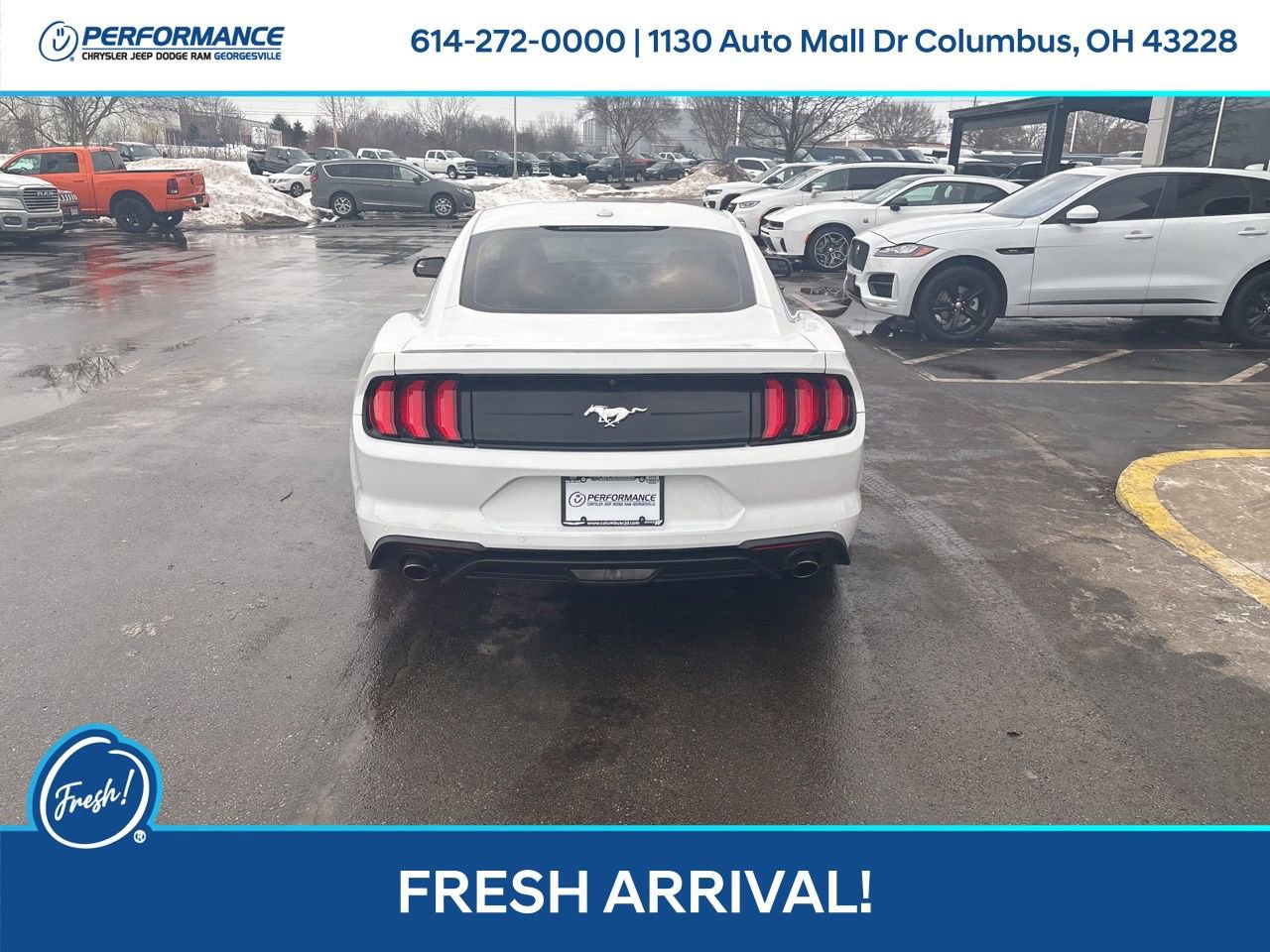 Used 2019 Ford Mustang Premium image 5