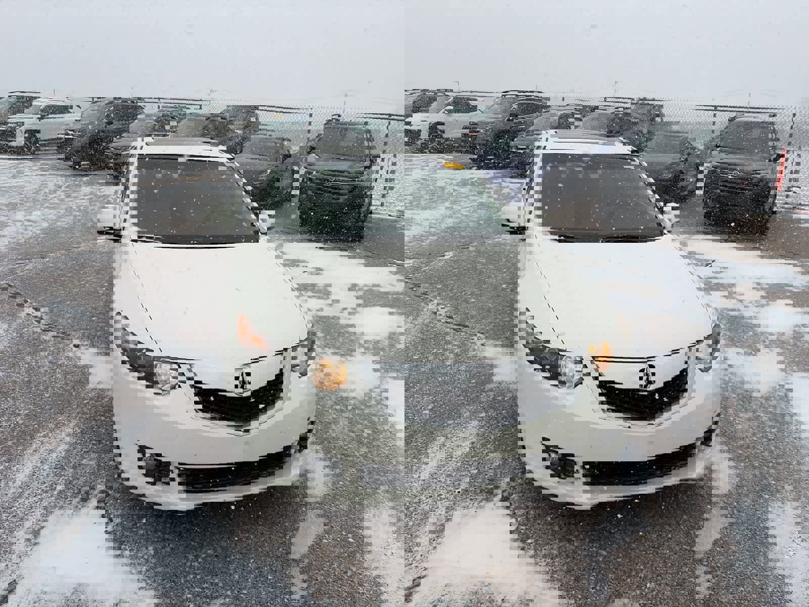 Used 2010 Acura TSX Sedan image 3