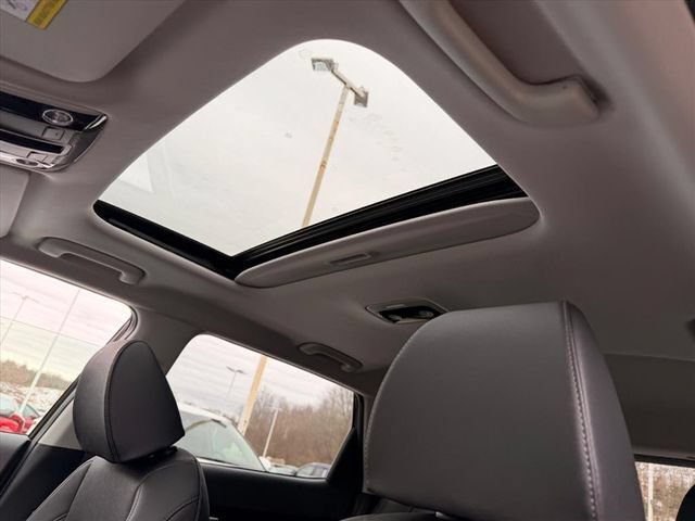 New 2026 Kia Seltos EX w/ EX Sunroof Package AWD/4WD image 14
