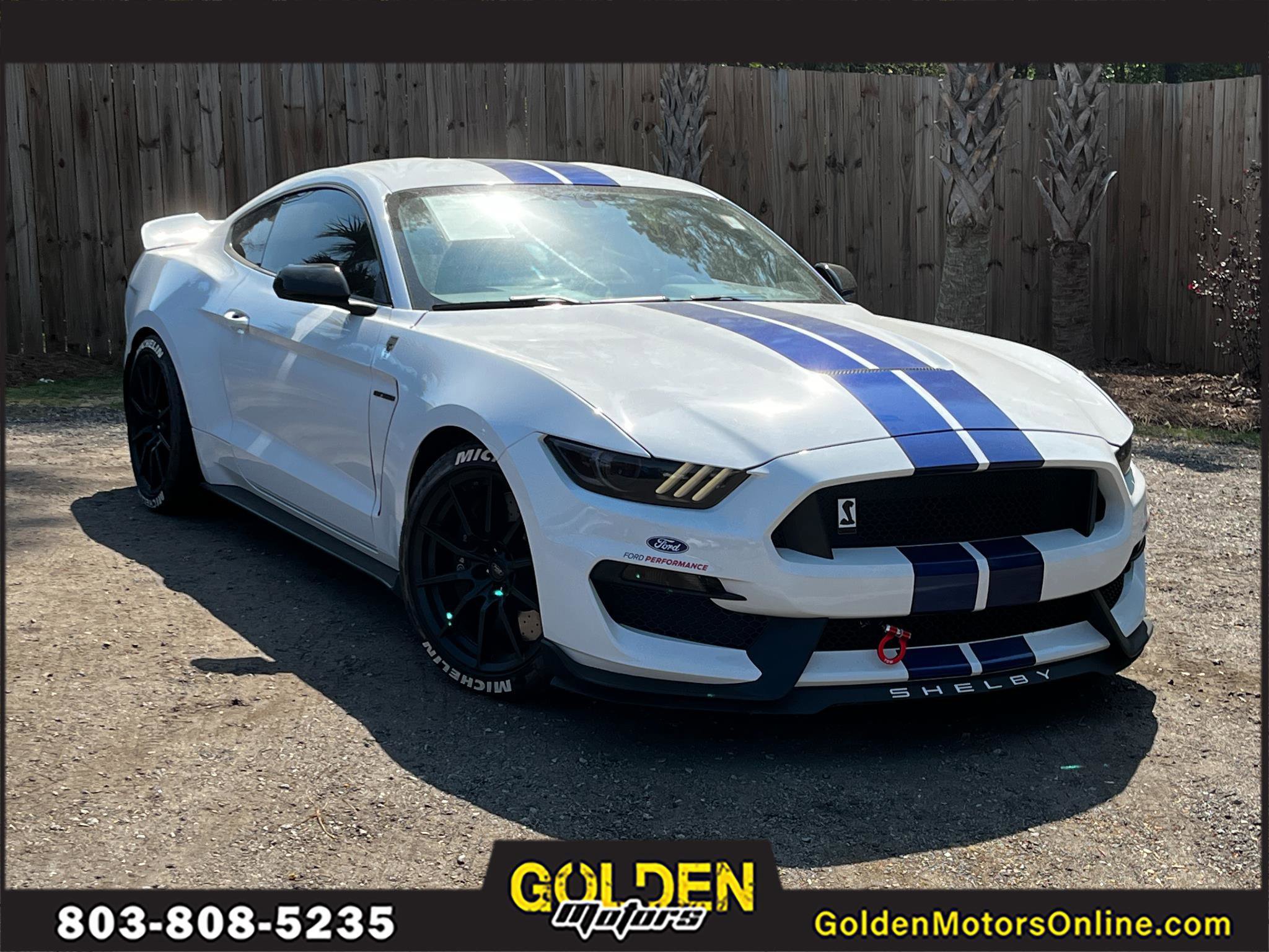 Used 2016 Ford Mustang Shelby GT350 w/ Technology Package image 1