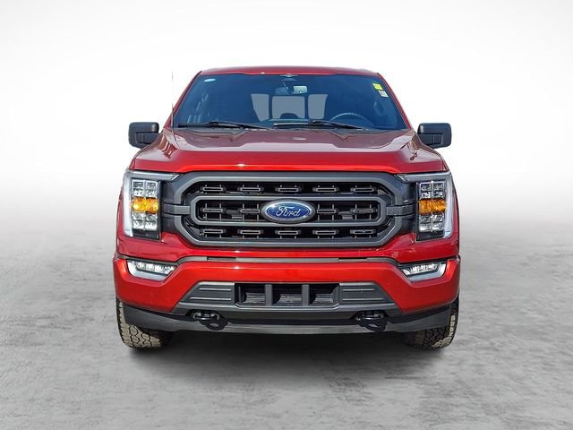 Certified 2023 Ford F150 XLT w/ Equipment Group 302A High image 2