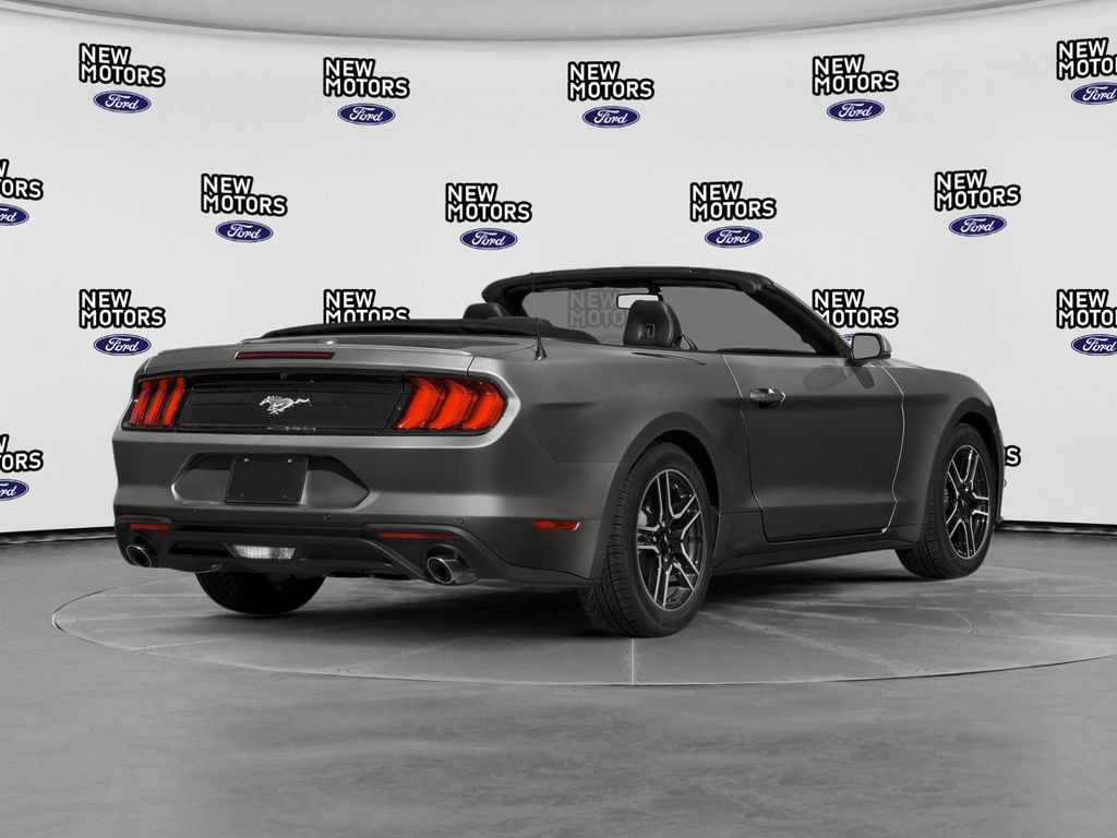 Used 2019 Ford Mustang Premium w/ Equipment Group 201A RWD image 2