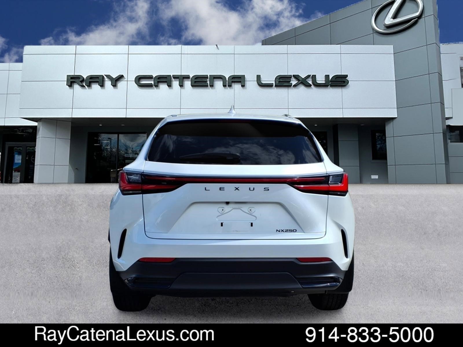 Certified 2024 Lexus NX 250 FWD w/ Cold Area Package image 5