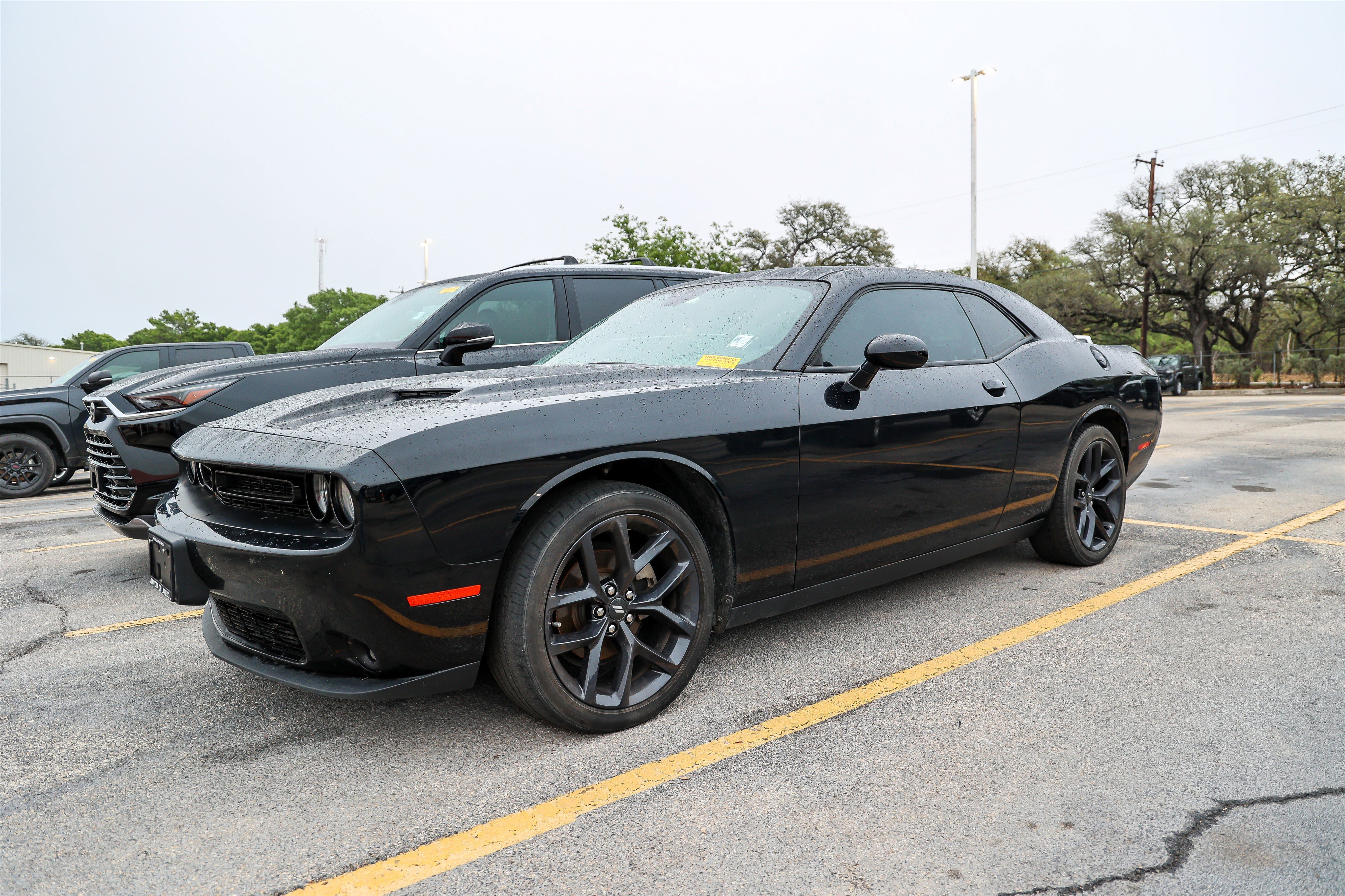Used 2021 Dodge Challenger SXT w/ Blacktop Package image 3