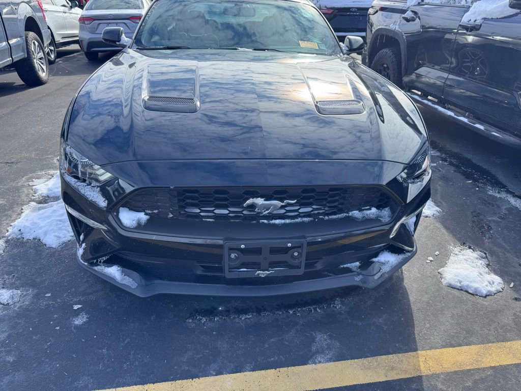 Used 2019 Ford Mustang EcoBoost w/ Equipment Group 101A image 2
