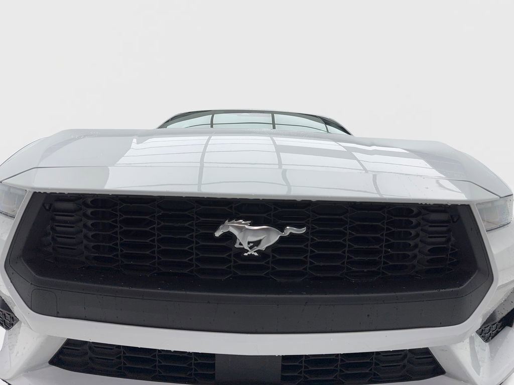 Used 2026 Ford Mustang Premium RWD image 4