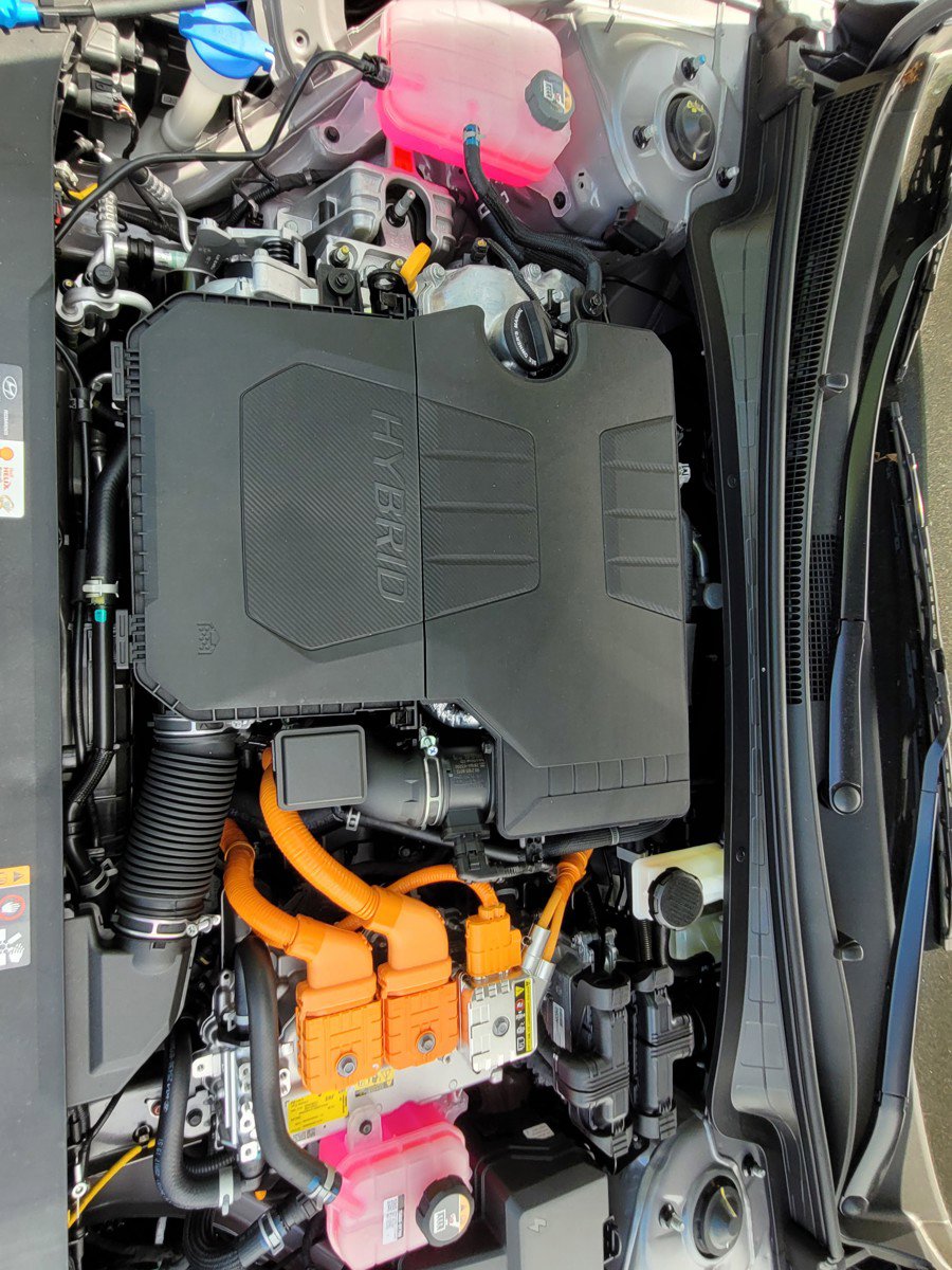 New 2025 Hyundai Elantra SEL image 22