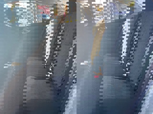 Used 2014 Nissan Sentra SV image 6