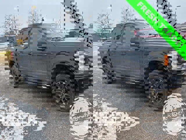 Used 2020 Ford F150 XLT w/ Equipment Group 302A Luxury image 1