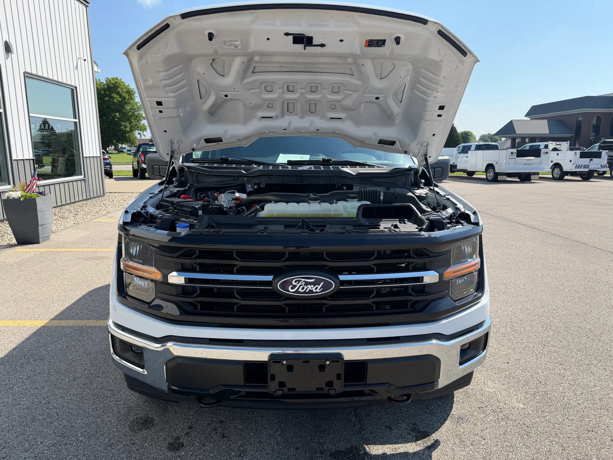 Used 2025 Ford F150 XLT w/ Equipment Group 301A Standard AWD/4WD image 34