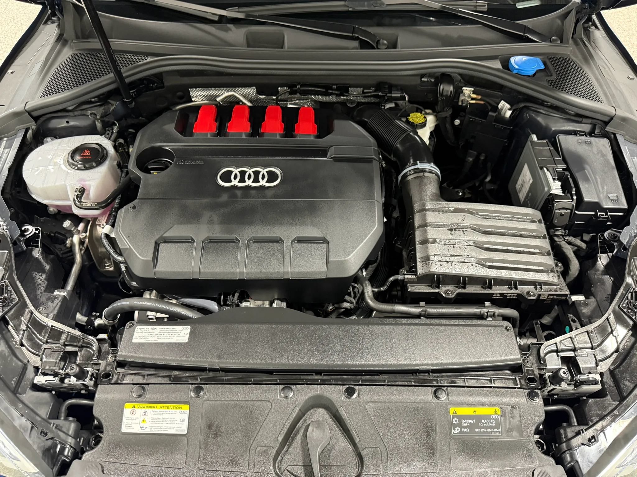 Used 2025 Audi S3 Premium Plus w/ Premium Plus Package AWD/4WD image 72