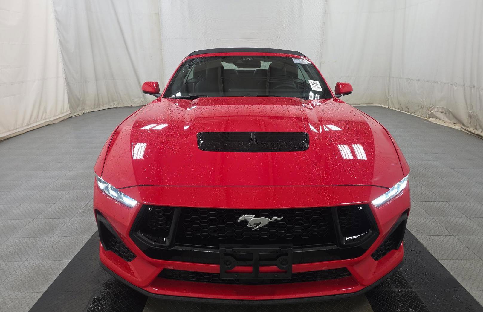 Used 2025 Ford Mustang GT Premium image 2