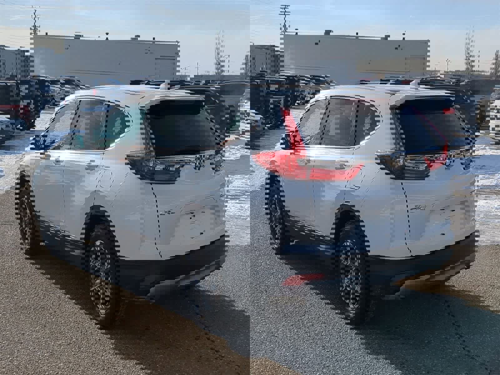 Used 2019 Honda CR-V EX image 12