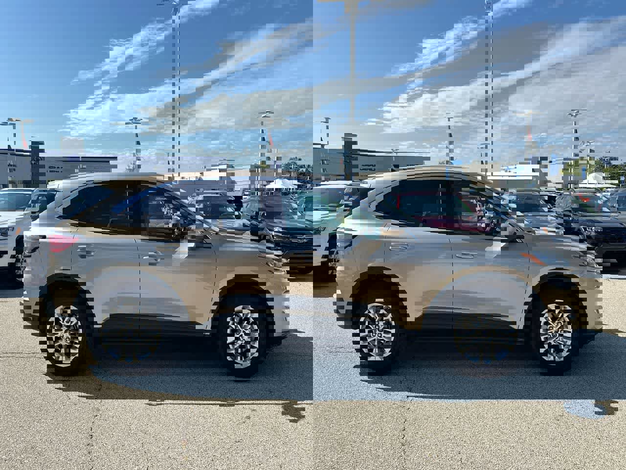 Used 2020 Ford Escape SE image 14