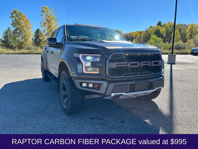 Used 2018 Ford F150 Raptor w/ Equipment Group 802A Luxury image 11