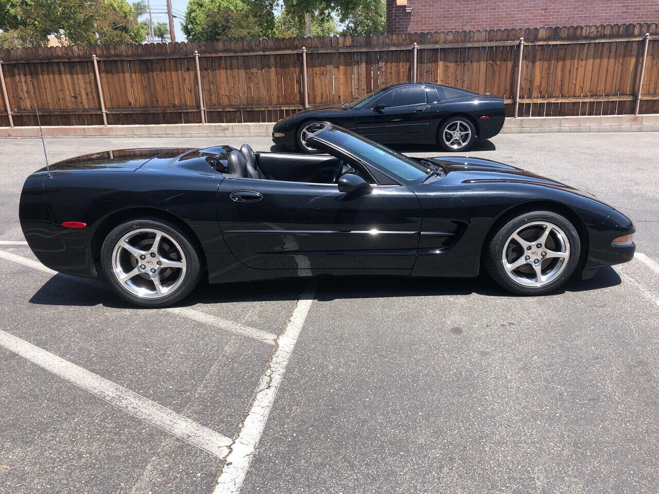 Used 1999 Chevrolet Corvette Convertible image 6