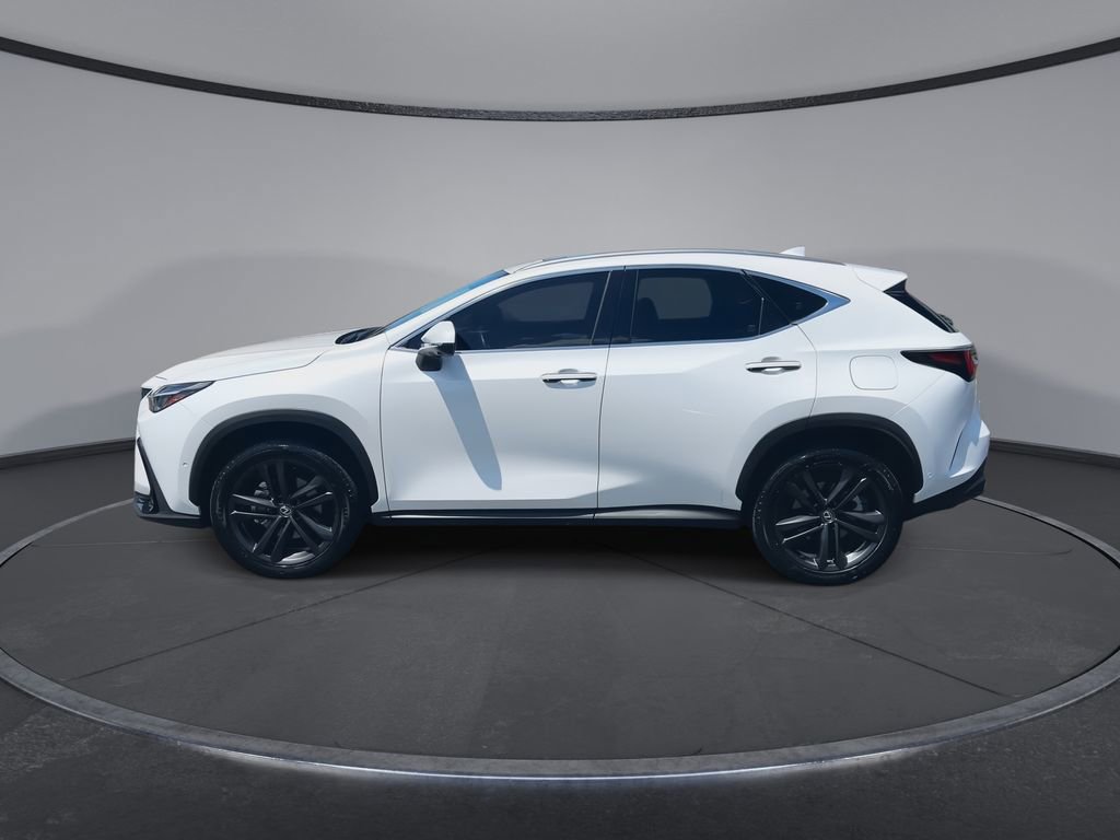 Used 2024 Lexus NX 450h+ AWD w/ Vision Package image 5