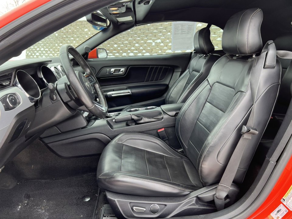 Used 2015 Ford Mustang GT Premium w/ Equipment Group 401A image 4