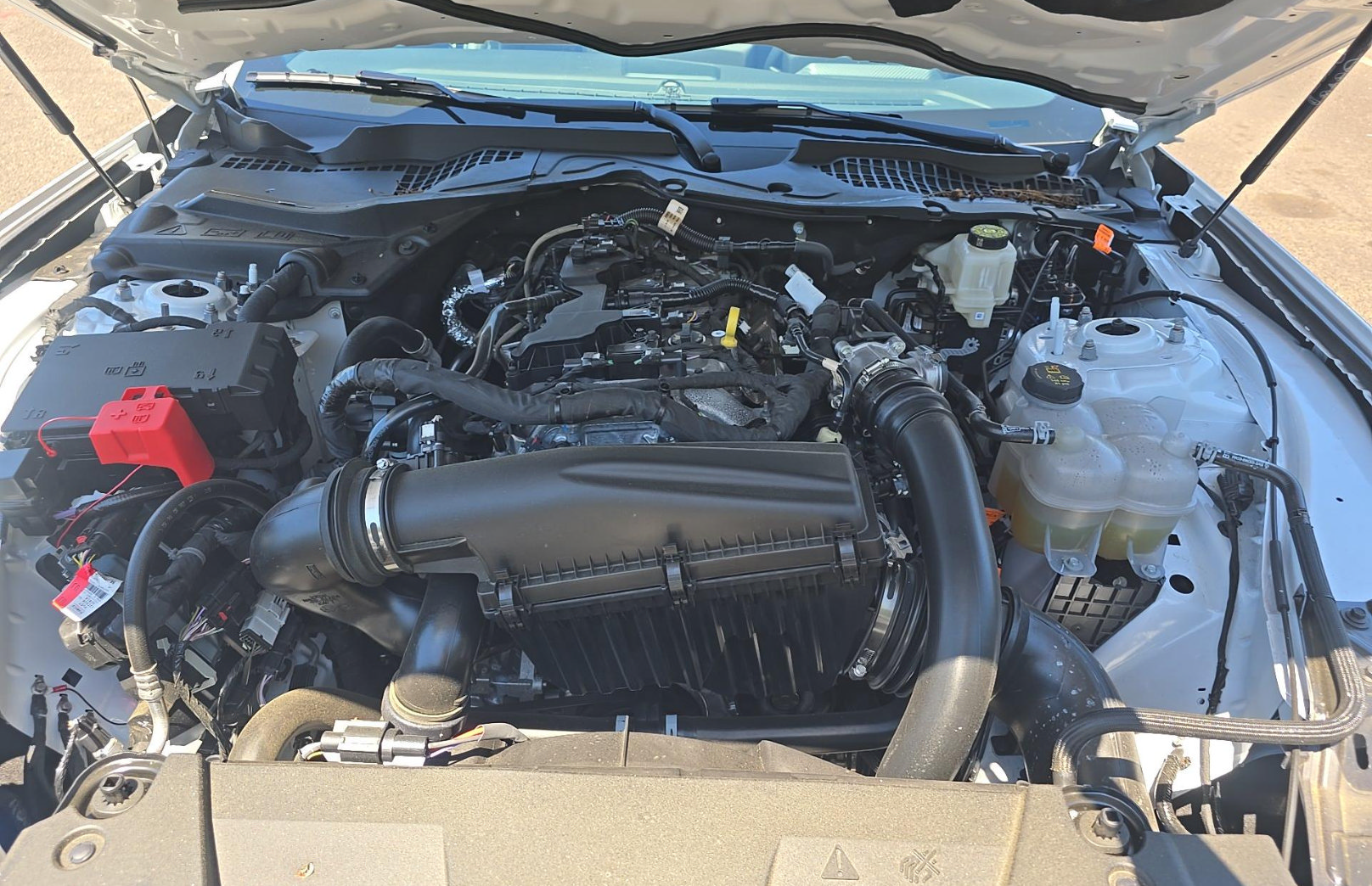Used 2026 Ford Mustang Premium RWD image 17