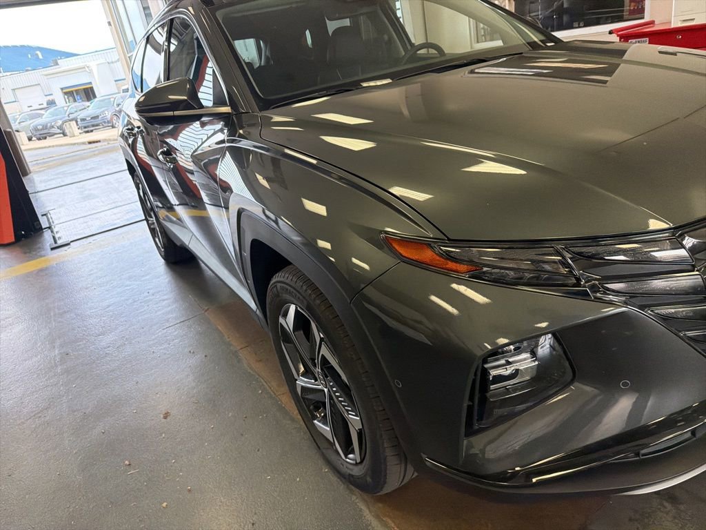 Used 2024 Hyundai Tucson Limited AWD/4WD image 5