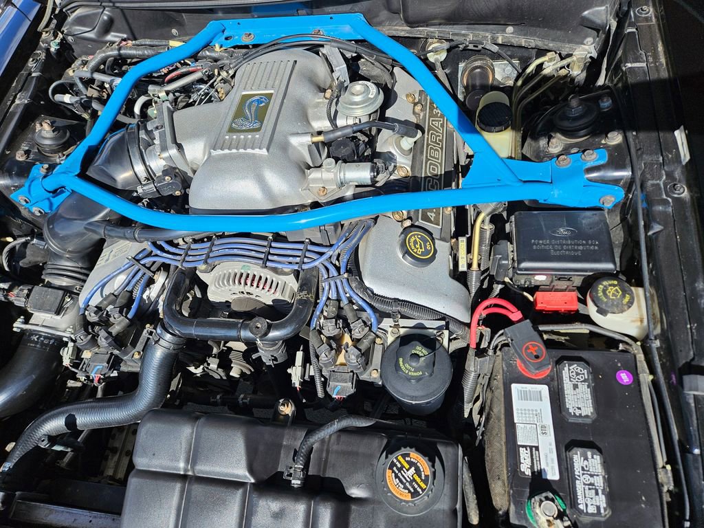 Used 1997 Ford Mustang Cobra RWD image 8