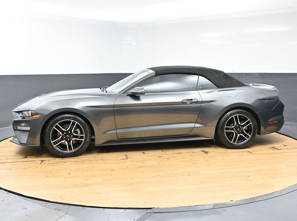 Used 2019 Ford Mustang Premium RWD image 6
