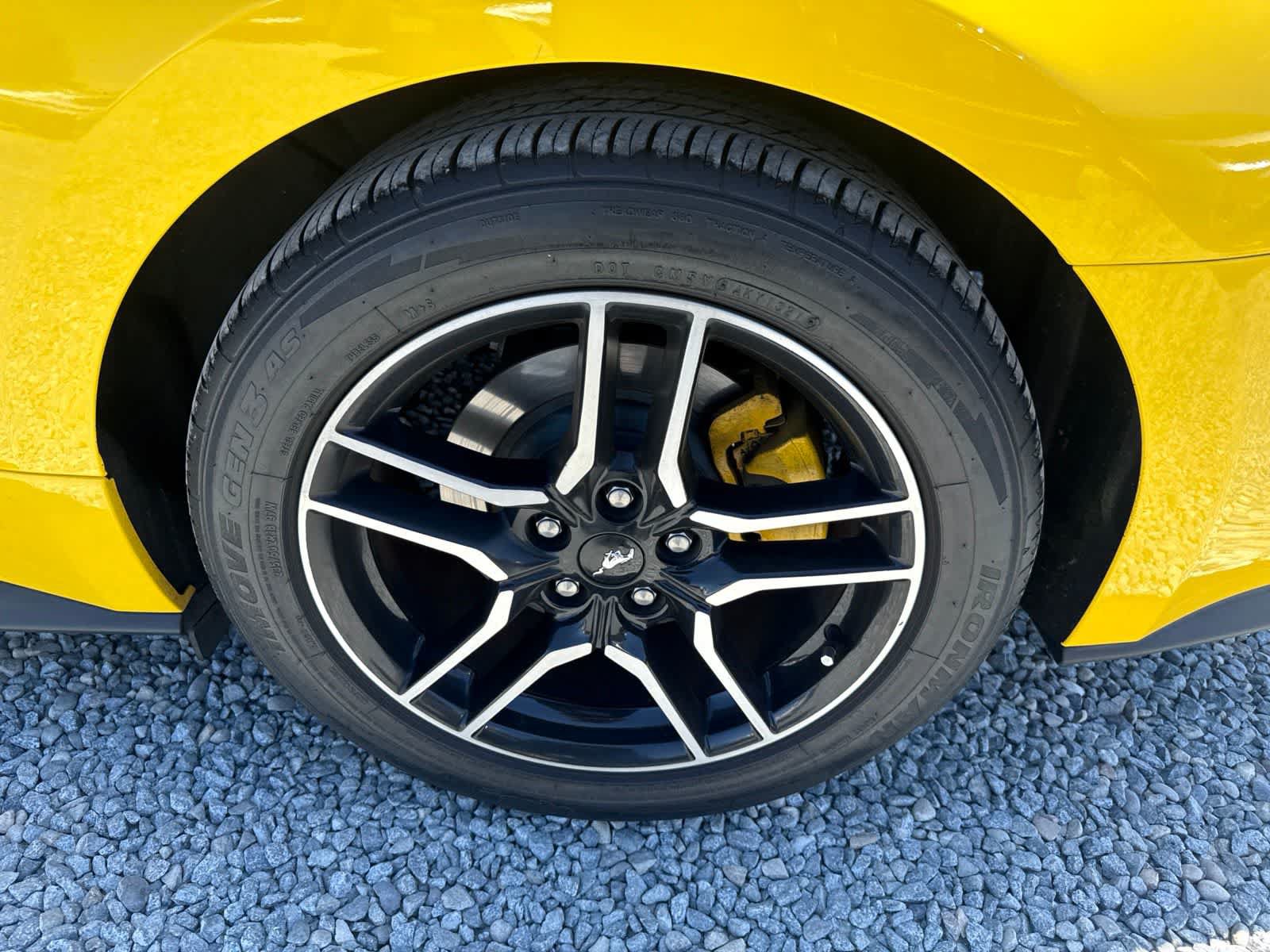 Used 2018 Ford Mustang Premium w/ Equipment Group 201A RWD image 10