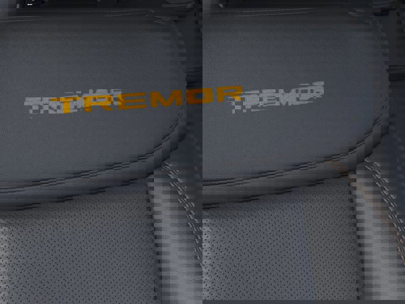 New 2025 Ford Expedition Tremor image 16