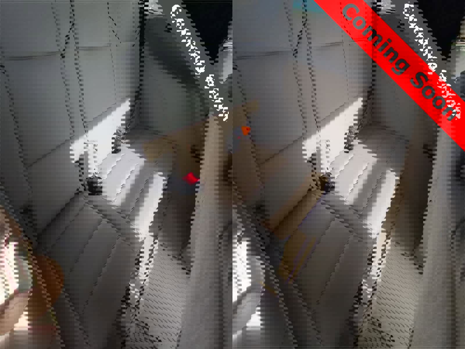 Used 2023 Cadillac Escalade Premium Luxury w/ LPO, Floor Liner Package image 22