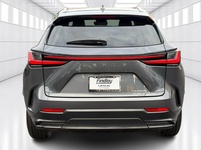 Certified 2023 Lexus NX 250 AWD image 6