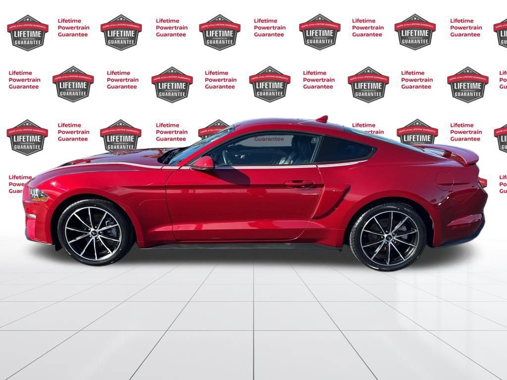Used 2023 Ford Mustang Premium w/ Equipment Group 201A image 8