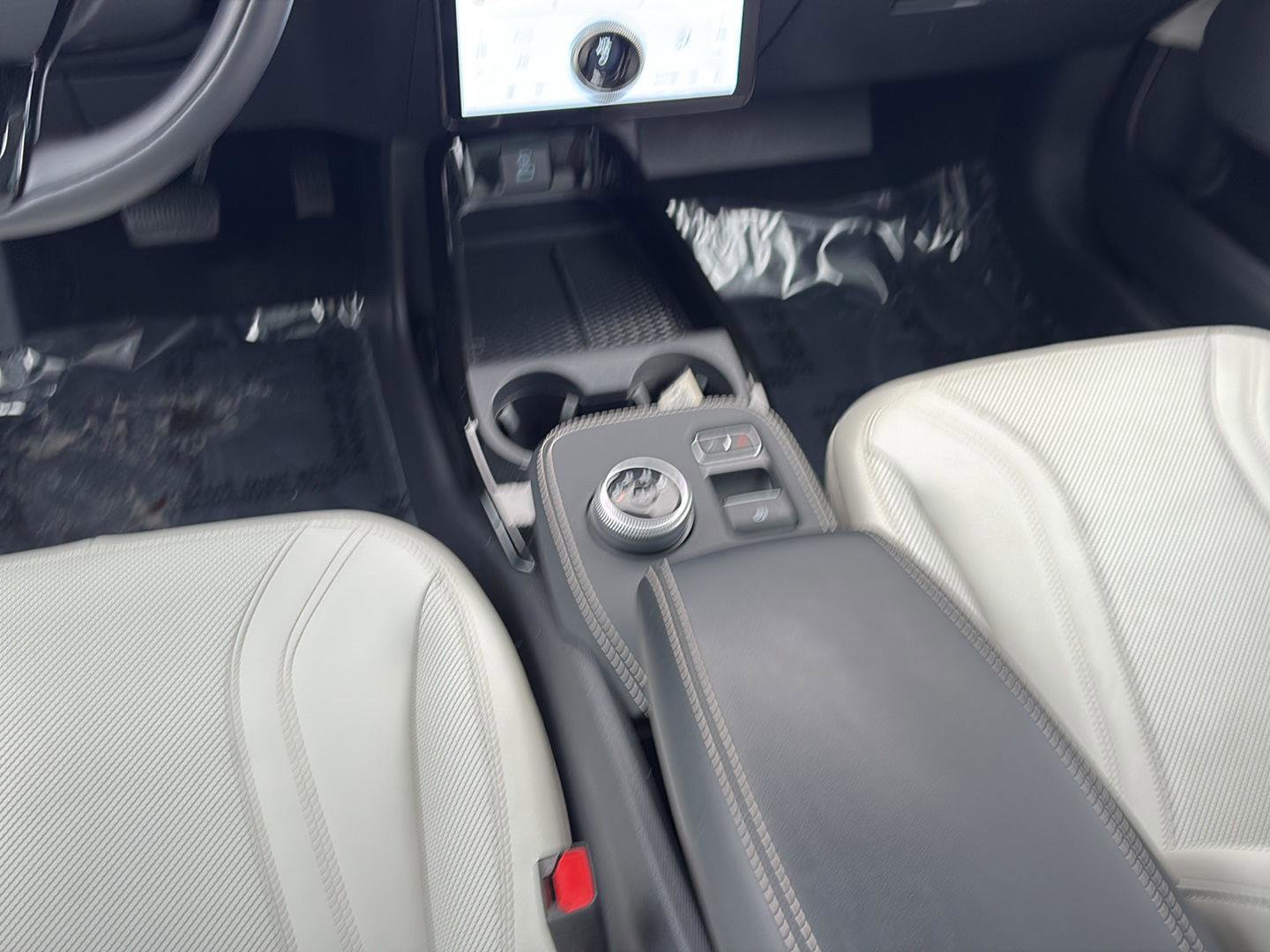 Used 2021 Ford Mustang Mach-E Premium image 14