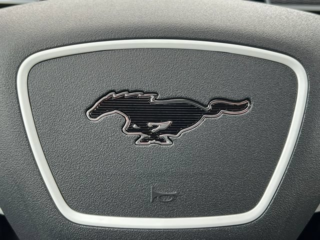 New 2025 Ford Mustang Mach-E GT w/ Interior Protection Package AWD/4WD image 23