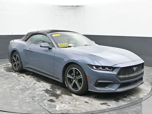 Used 2024 Ford Mustang Premium image 4