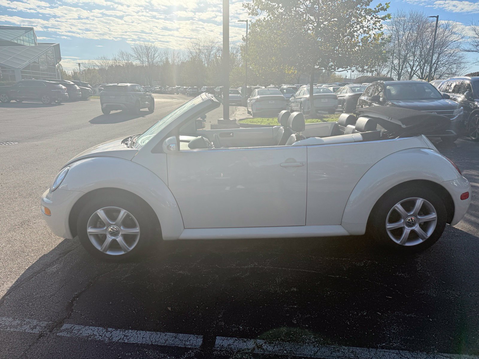 Used 2005 Volkswagen Beetle GLS FWD image 6