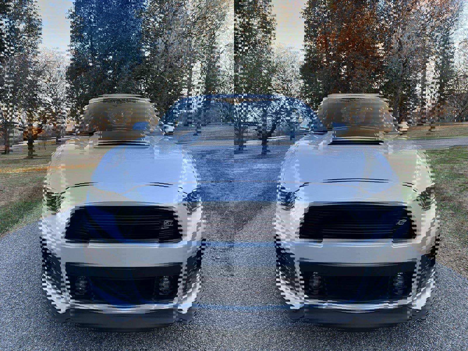 Used 2015 Ford Mustang Coupe w/ Equipment Group 051A image 3