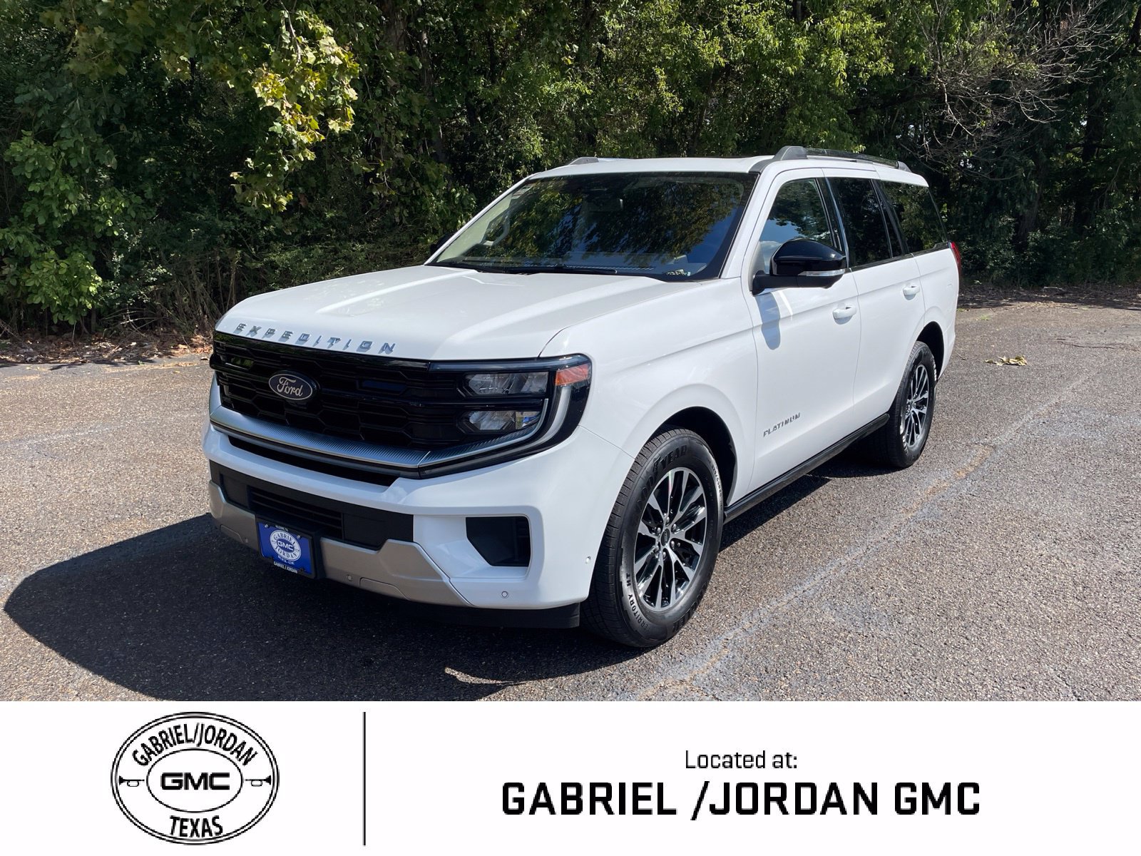 Used 2025 Ford Expedition Platinum AWD/4WD image 1