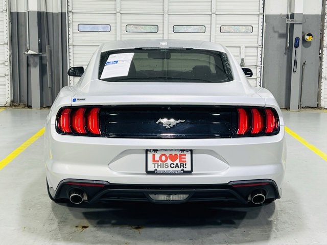 Used 2019 Ford Mustang EcoBoost image 16