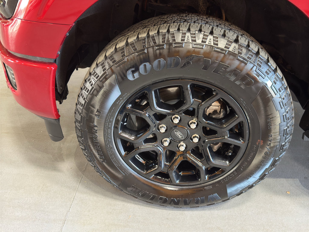 Used 2024 Ford F150 XLT w/ Equipment Group 302A MID image 9