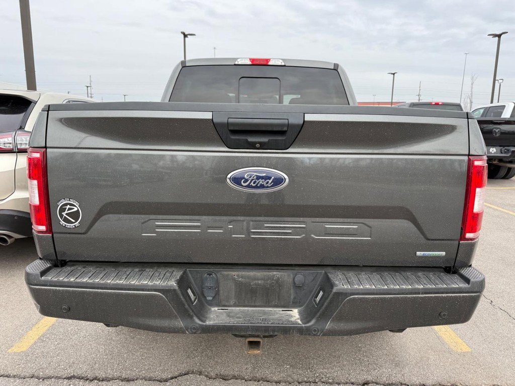 Used 2019 Ford F150 XLT w/ Equipment Group 302A Luxury image 4