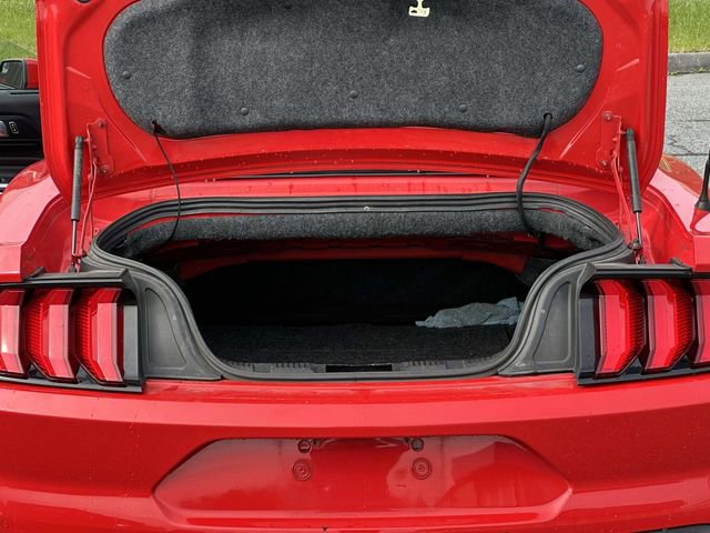 Used 2018 Ford Mustang Premium w/ Equipment Group 201A image 12