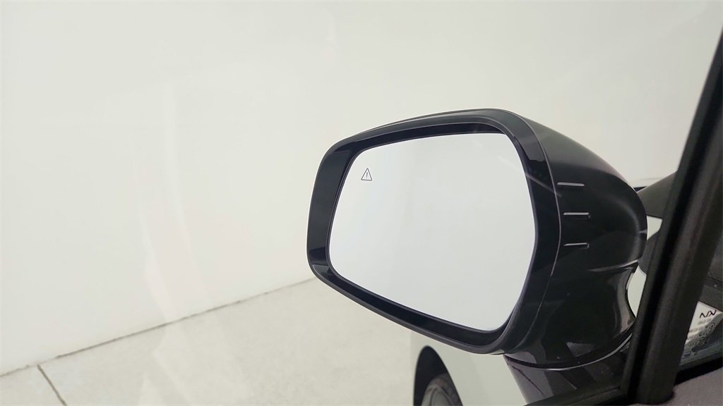 Used 2025 Kia Carnival SX Prestige image 17