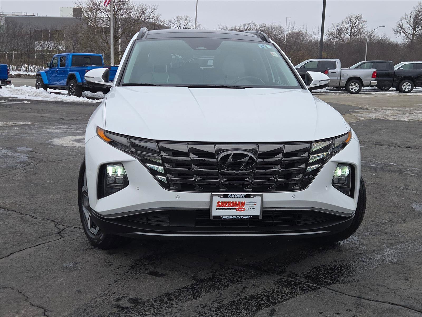 Used 2024 Hyundai Tucson Limited image 4