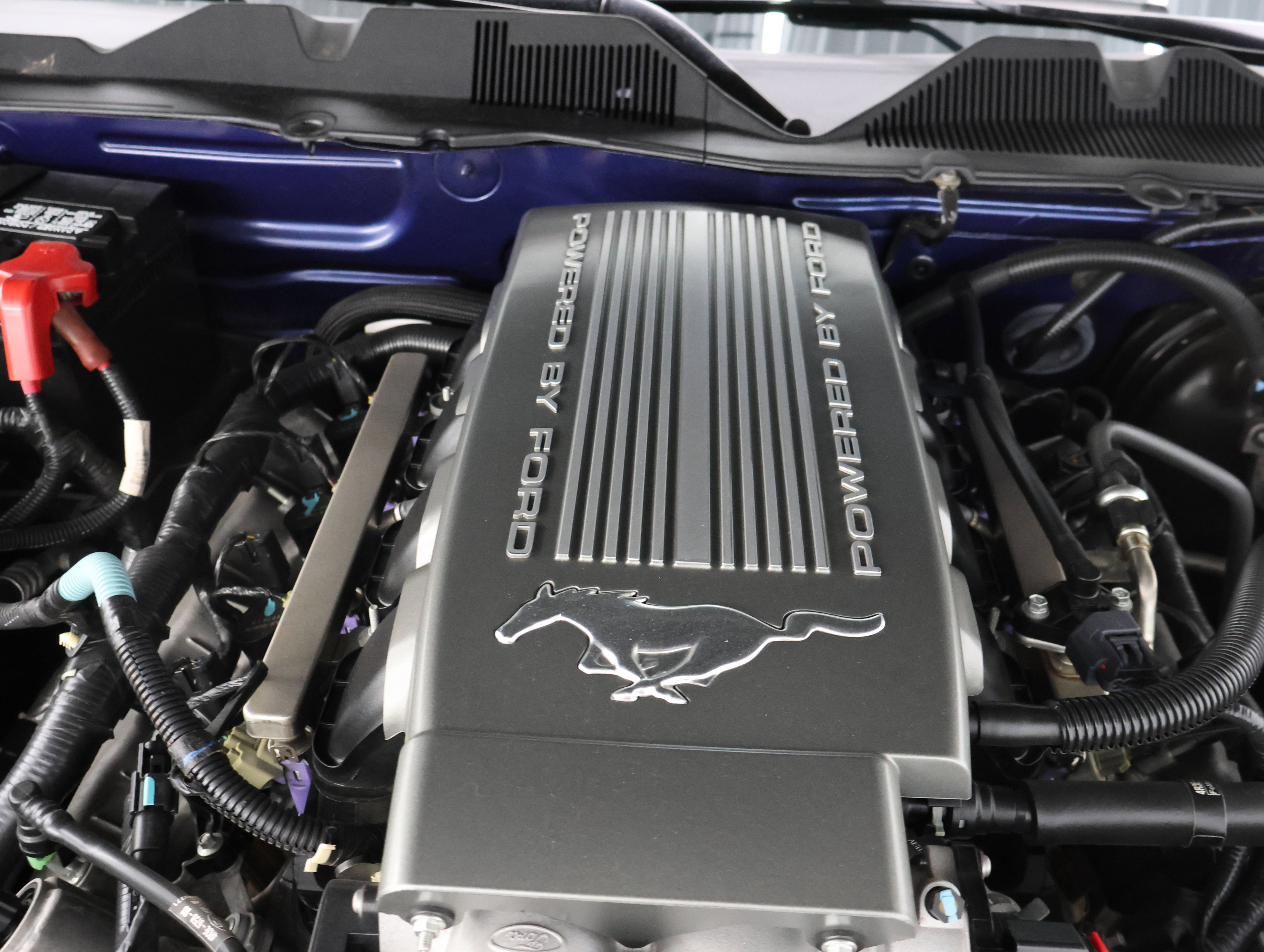 Used 2010 Ford Mustang GT Premium RWD image 18