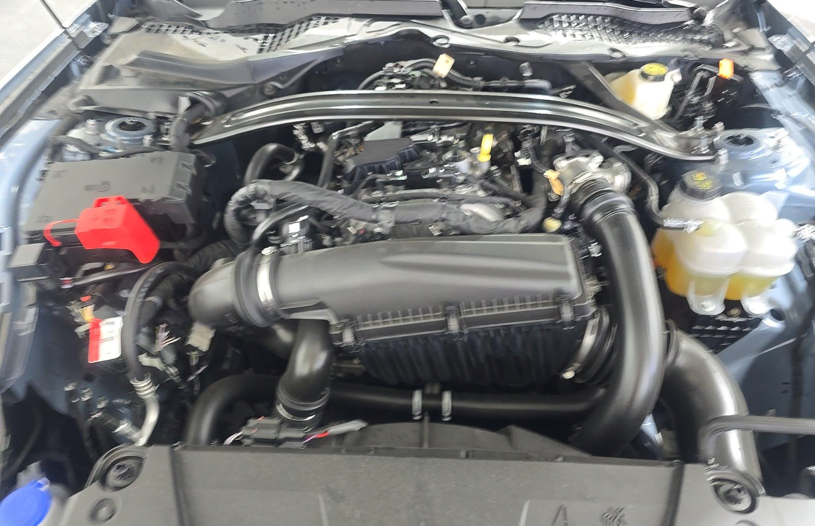 Used 2025 Ford Mustang Premium RWD image 15