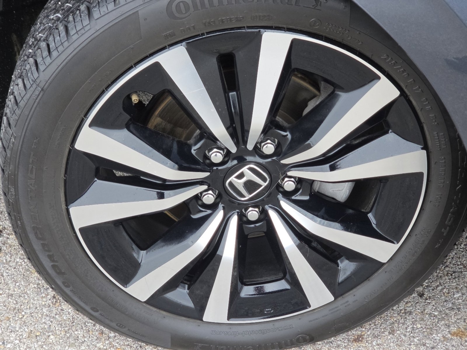 Used 2023 Honda Civic EX-L image 10