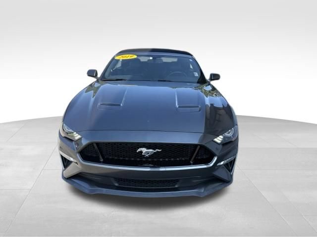 Used 2019 Ford Mustang GT Premium w/ Equipment Group 401A RWD image 7