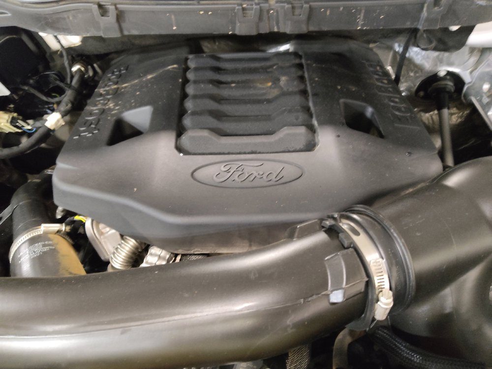 Used 2021 Ford F150 XL w/ Max Trailer Tow Package RWD image 30