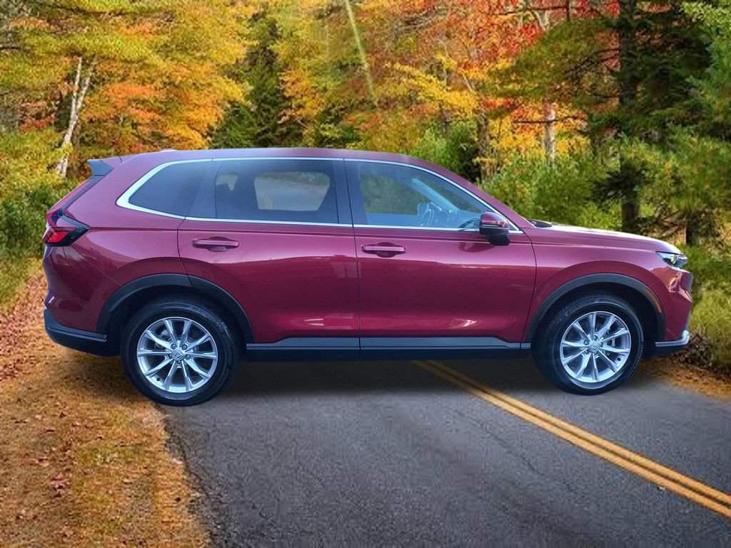 Certified 2024 Honda CR-V EX-L image 14